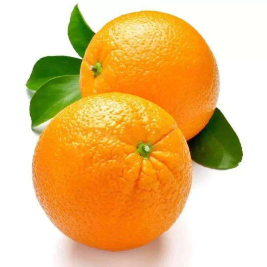 Portakal Kabuk Uçucu Yağı resmi